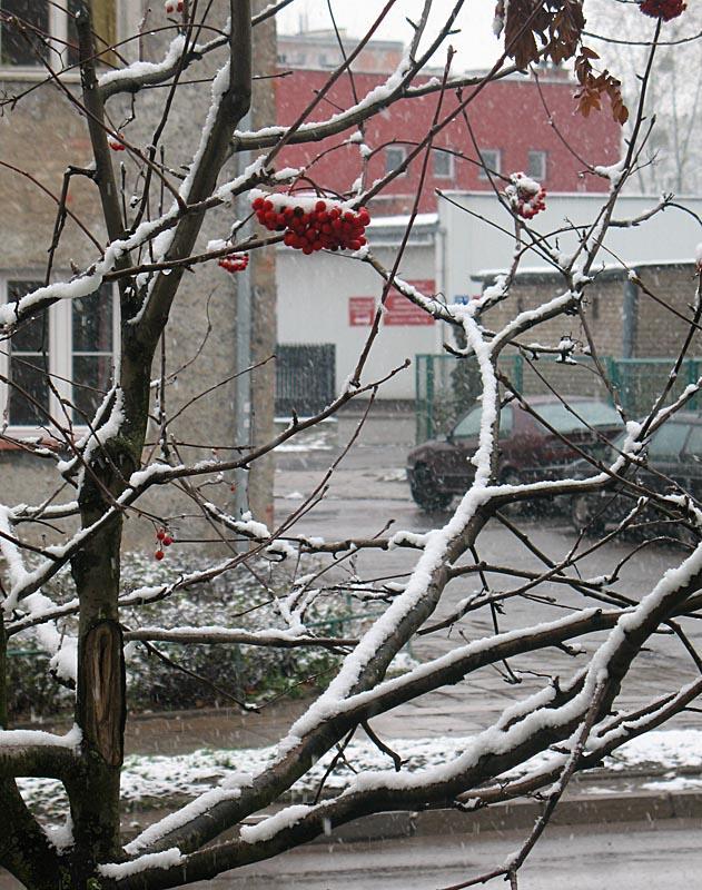śnieg, deszcz, ełk