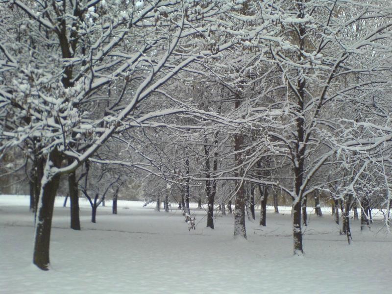 zalew śnieg