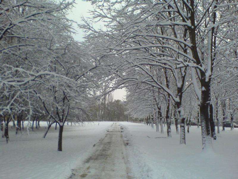 zalew śnieg