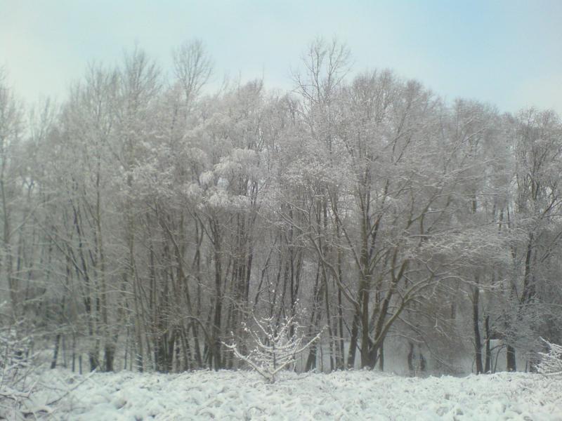 zalew śnieg