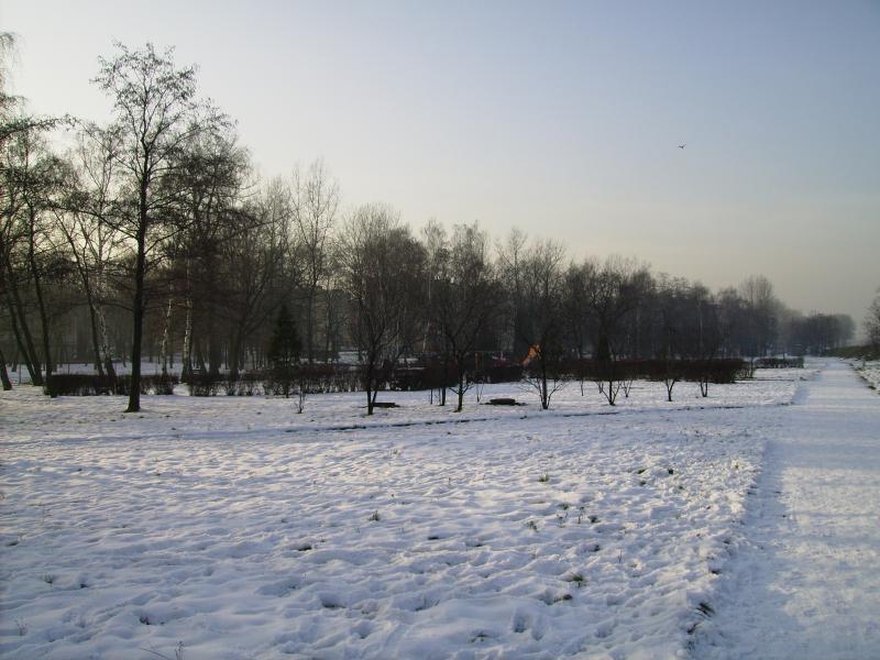 park, manhattan, sniegowo
