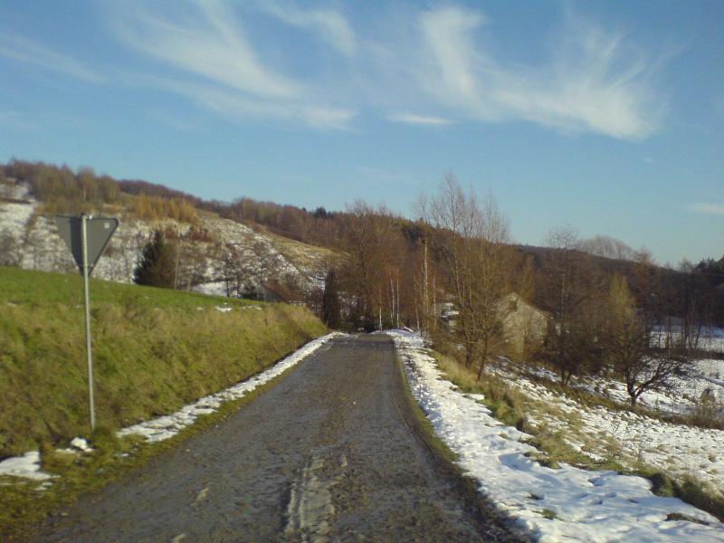 las śnieg