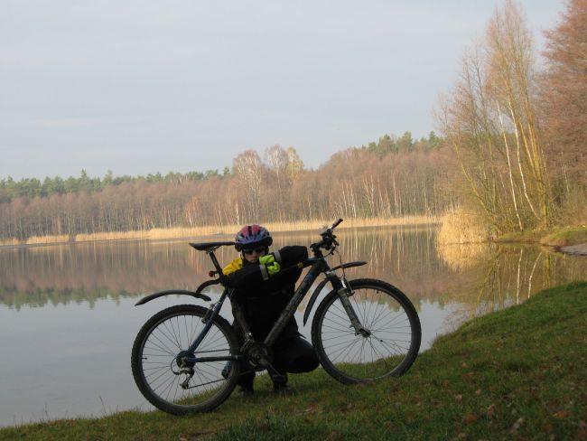 gołąbki