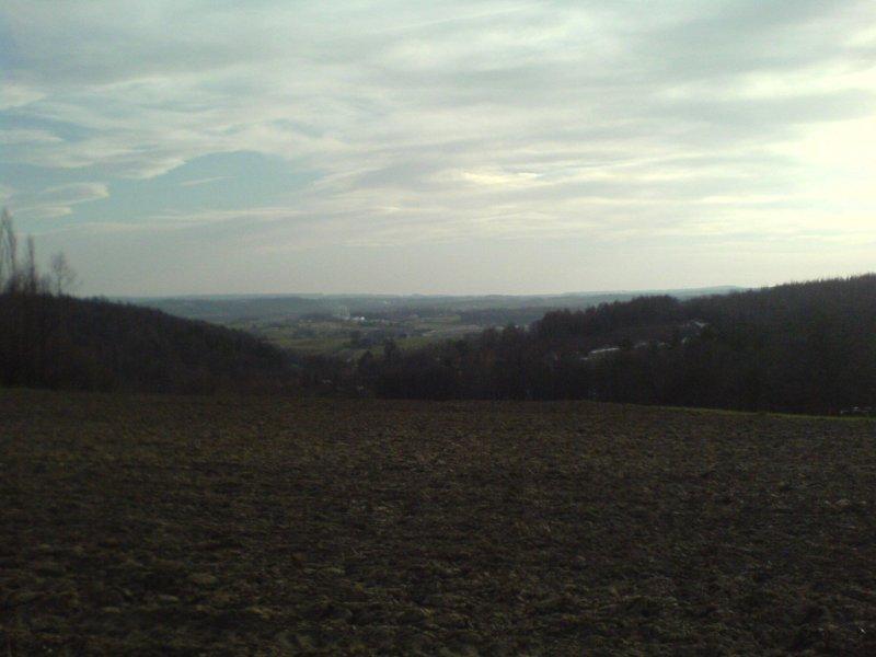 góreczki