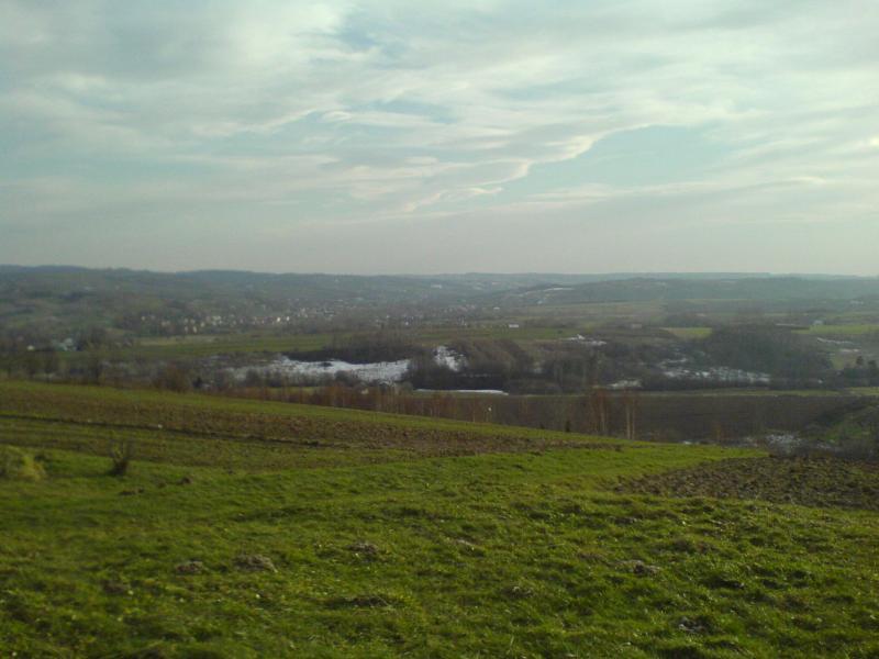 góreczki