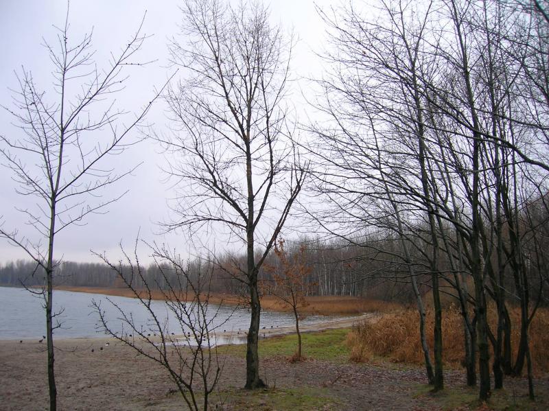pogoria