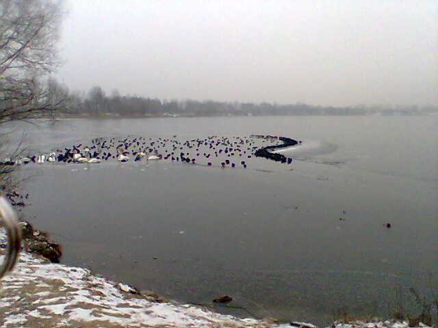 pogoria, zima, rower