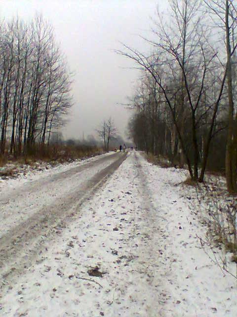 śnieg, pogoria, zima