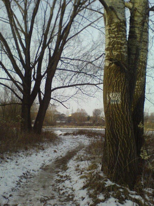 ścieżka, zima, zalew