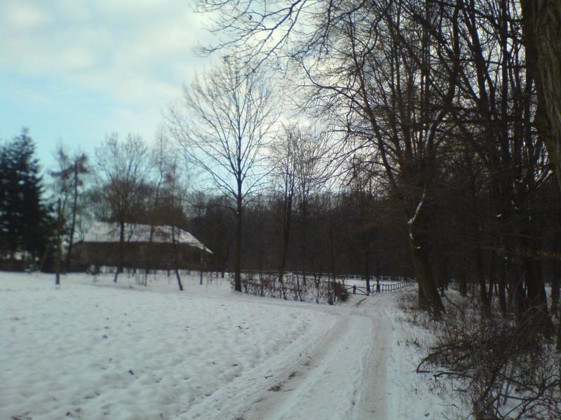 8187.jpg