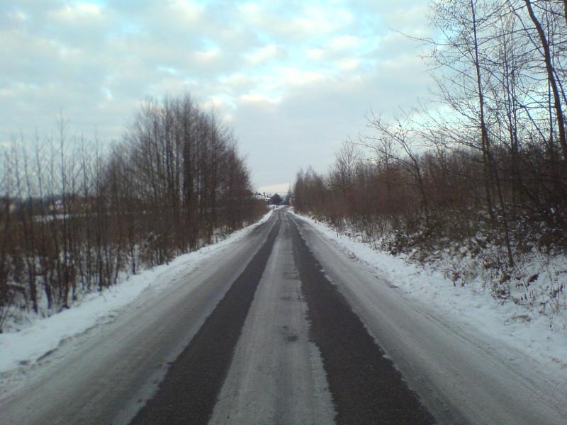 8190.jpg
