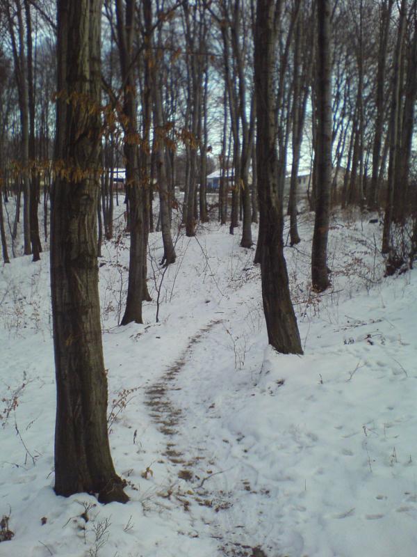 8191.jpg