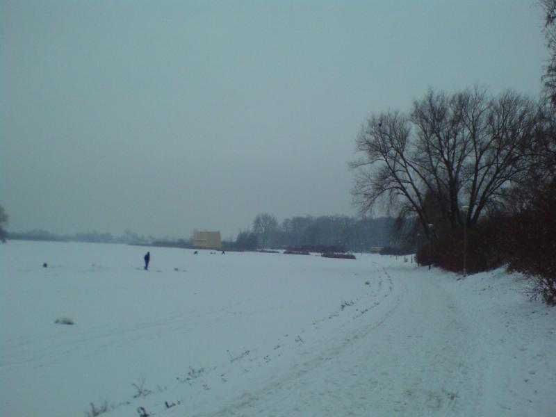 8246.jpg
