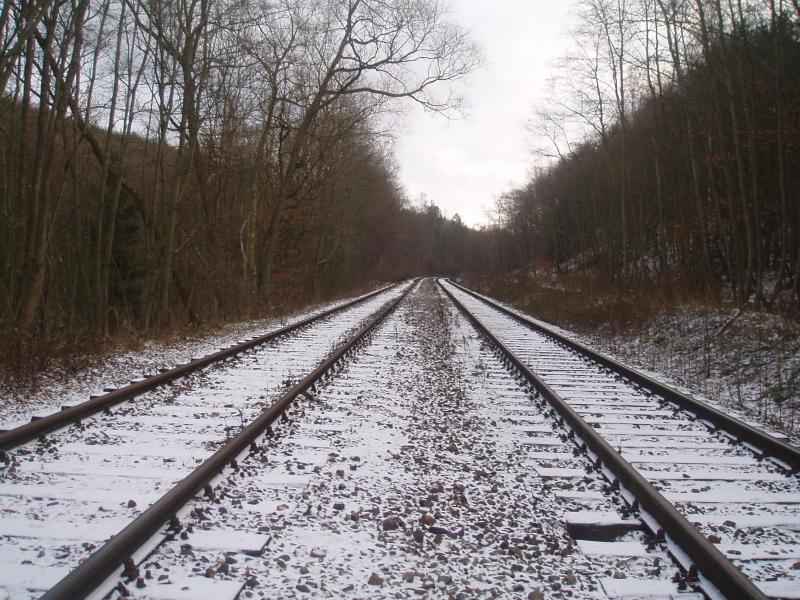 8275.jpg