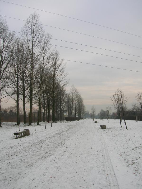 pogoria, zima, rower