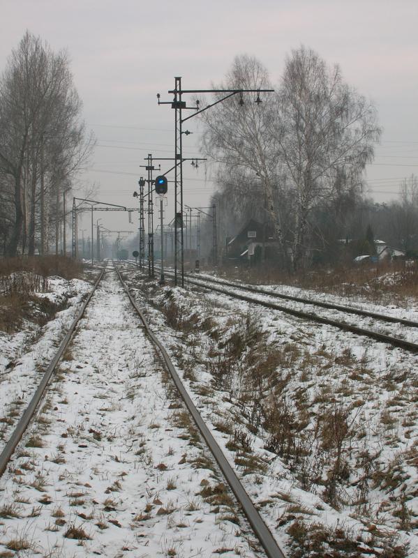 tory, śnieg, zima