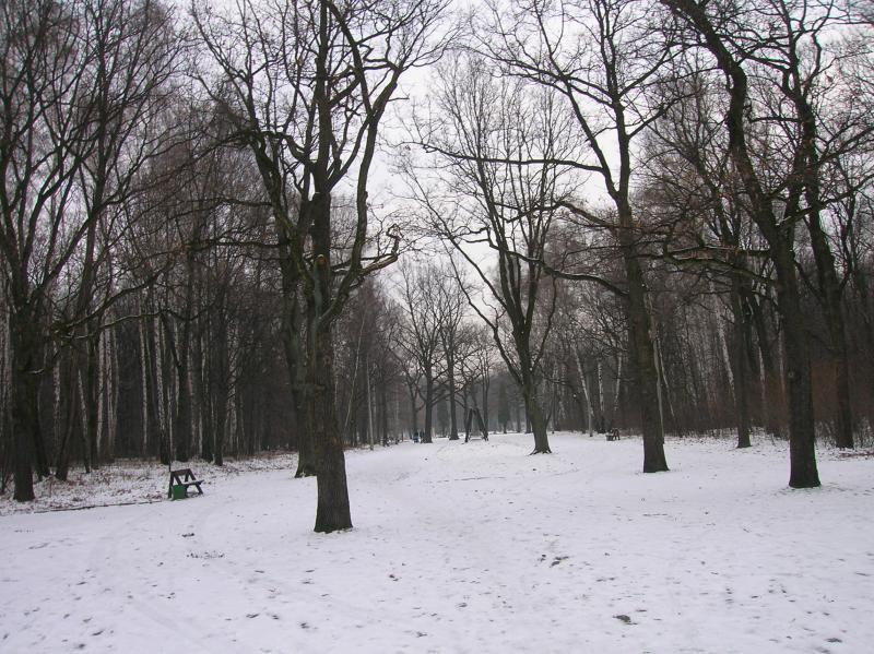 śnieg, park, zima