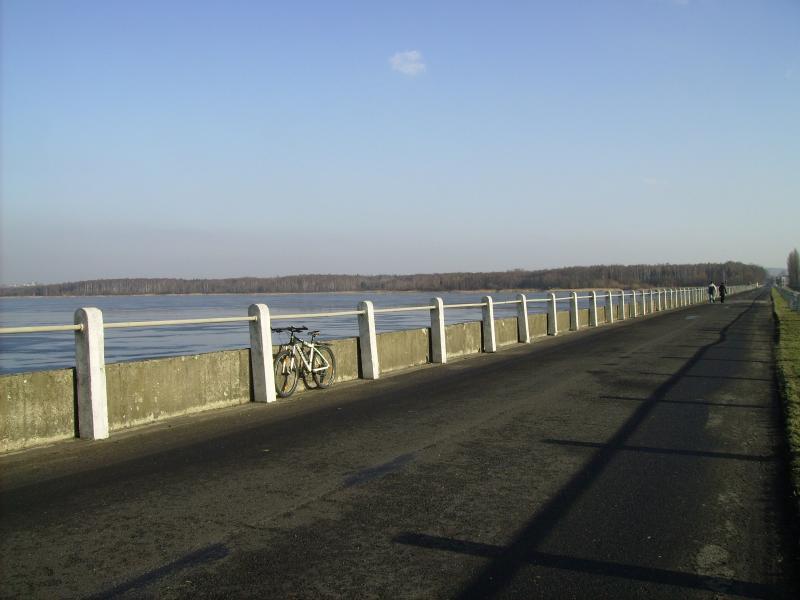 tama, wietrznie, zimowo, styczniowo