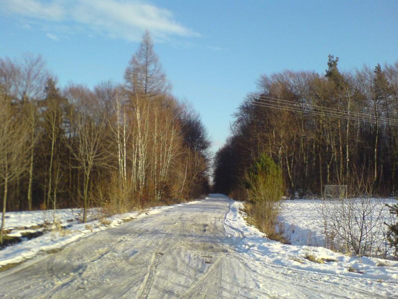 8472.jpg