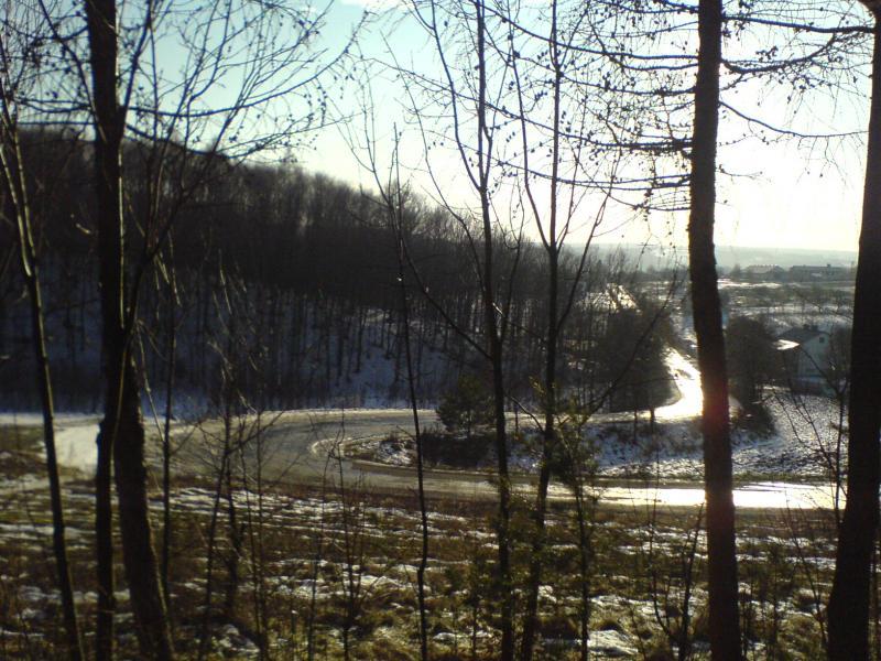 8474.jpg