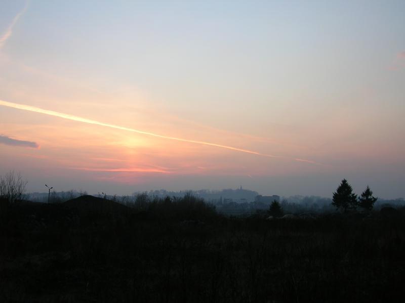 widok, słońce, dąbrowa