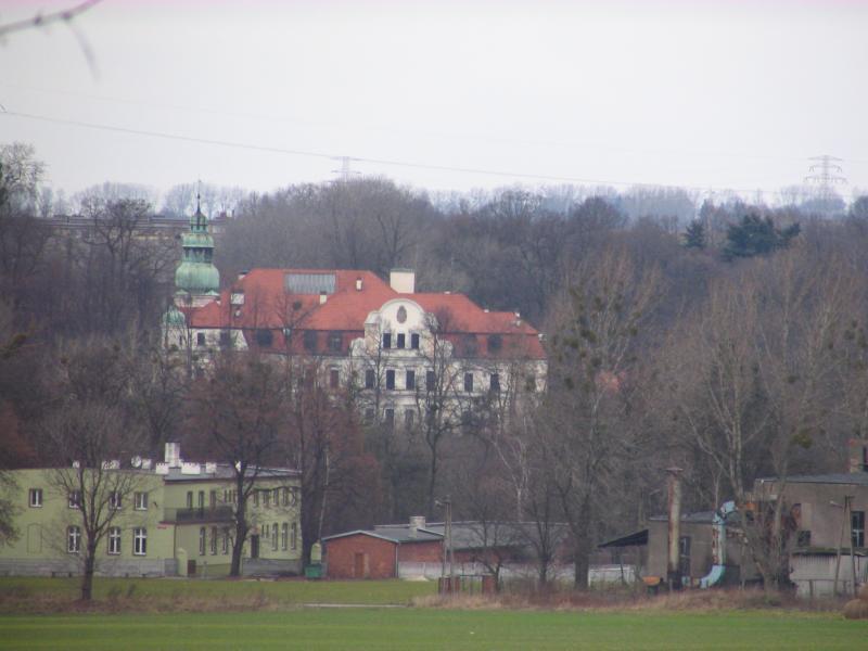 kamieniec, pałac, dzieci, ośrodek