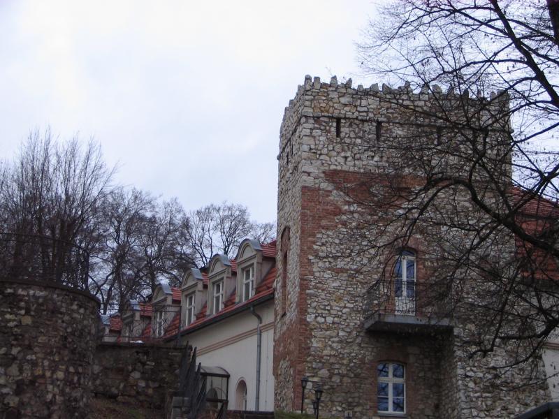 kamieniec, wieża, mysia