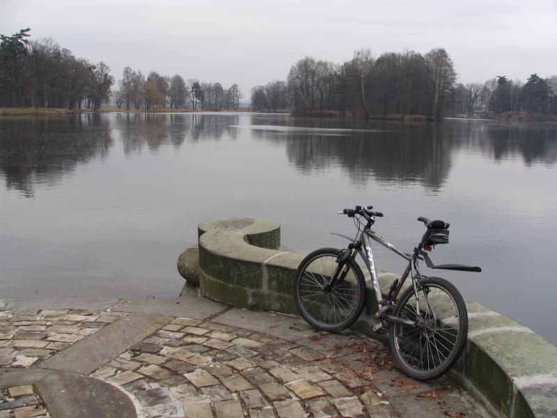 staw, park, świerklaniec, rower