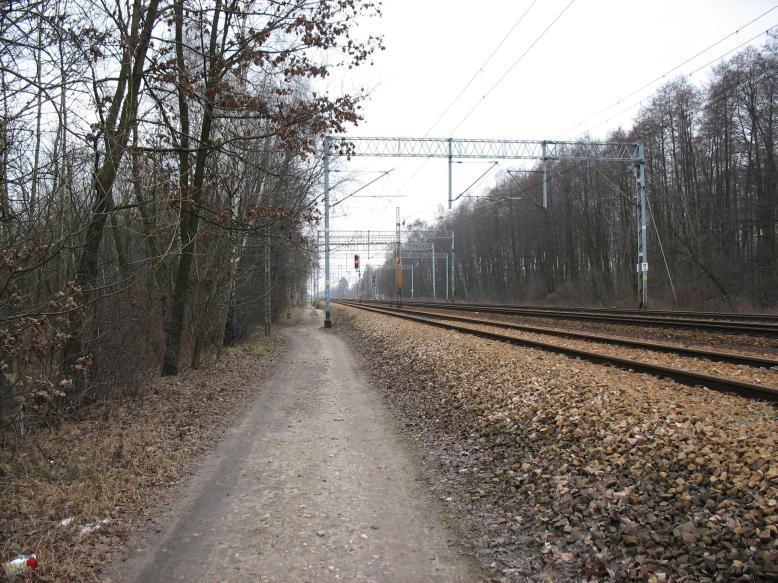 8901.jpg