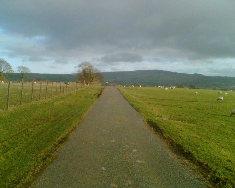 countryside, bolton abbey, west yorkshire