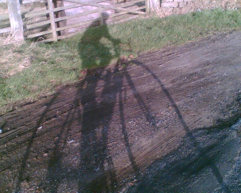 countryside, bolton abbey, west yorkshire