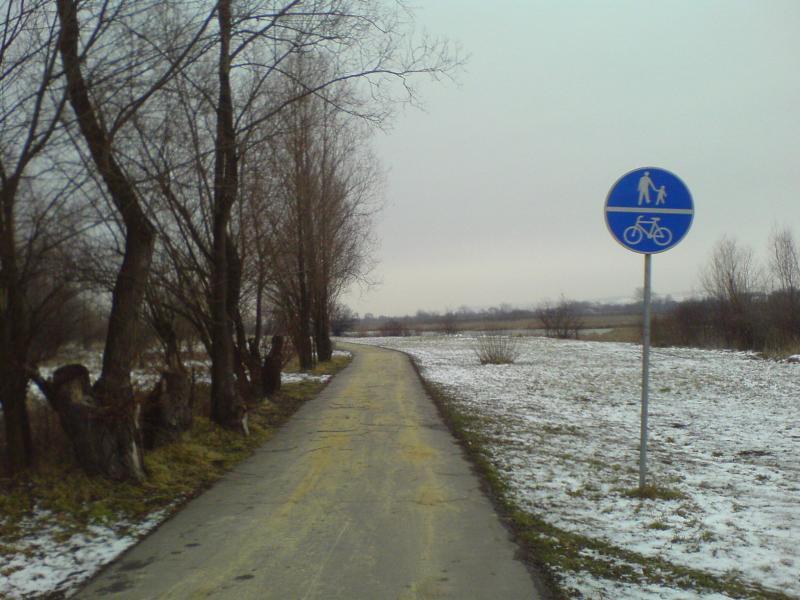 9055.jpg