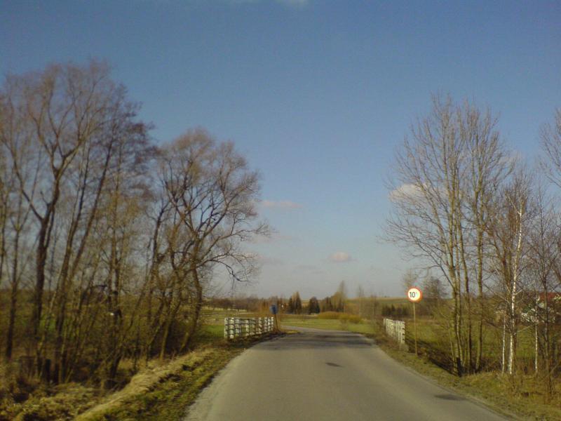 9231.jpg