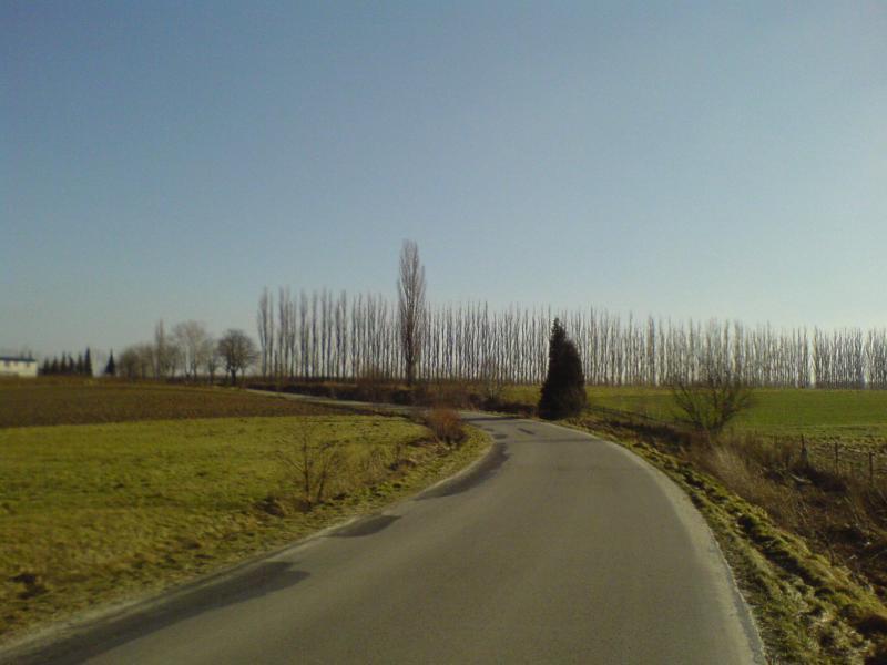 9232.jpg