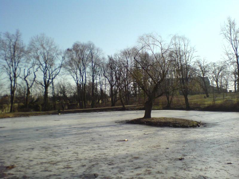 9234.jpg