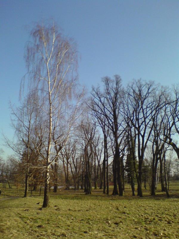 9237.jpg
