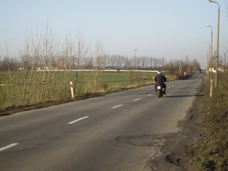 9255.jpg
