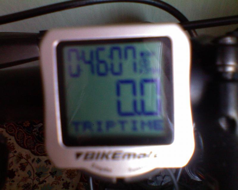 9256.jpg