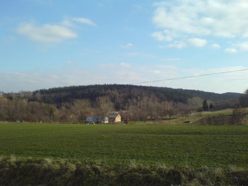 9496.jpg