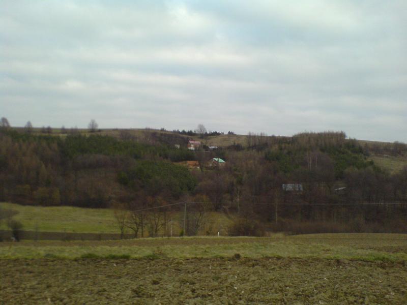 9507.jpg