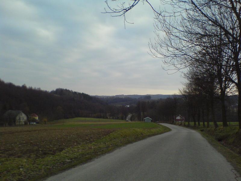 9508.jpg