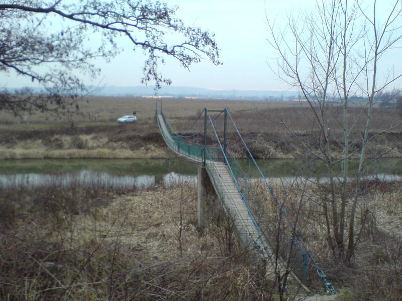 9510.jpg