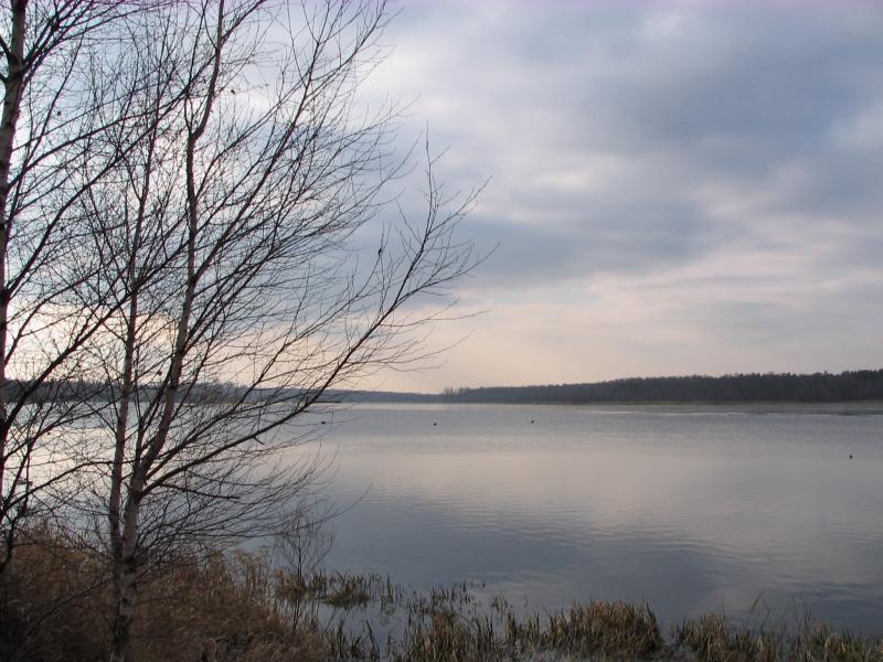 jezioro, paprocany, tychy