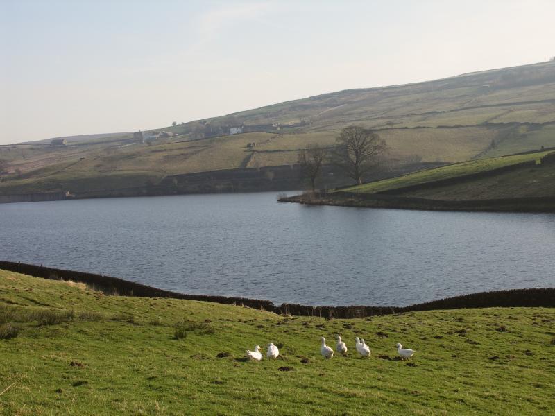 countryside, ponden reservoir, haworth, yorkshire, west yorkshire, wuthering heights