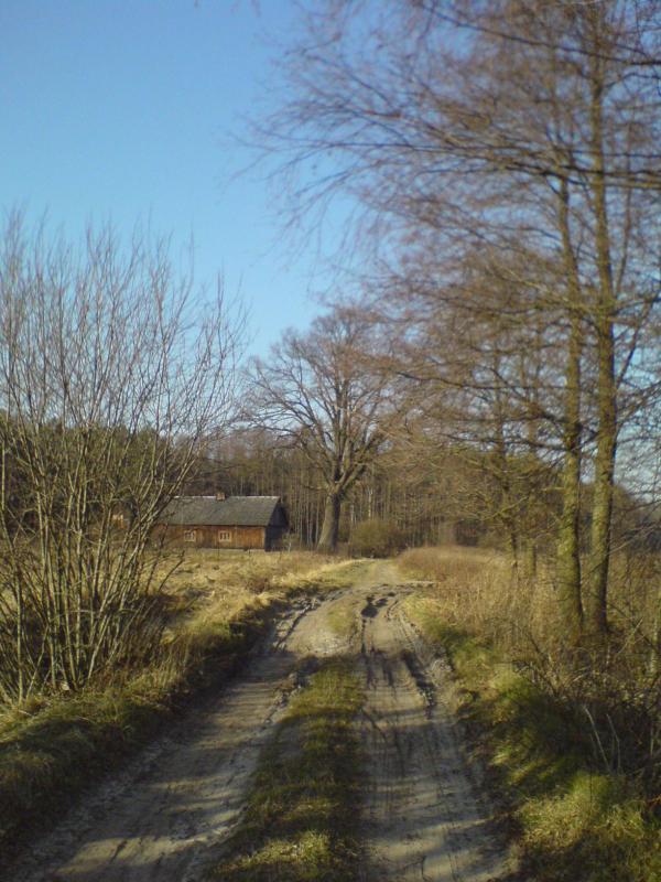 9738.jpg