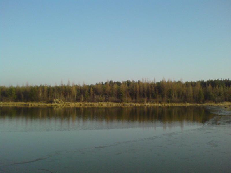 9740.jpg