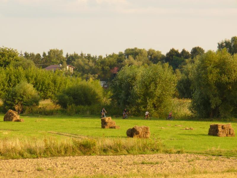 Rowerem po Mazowszu
