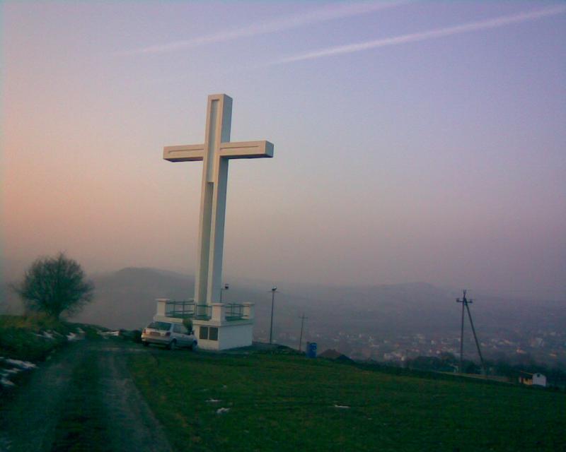 10232.jpg