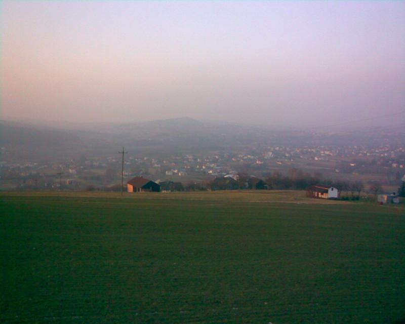 10233.jpg