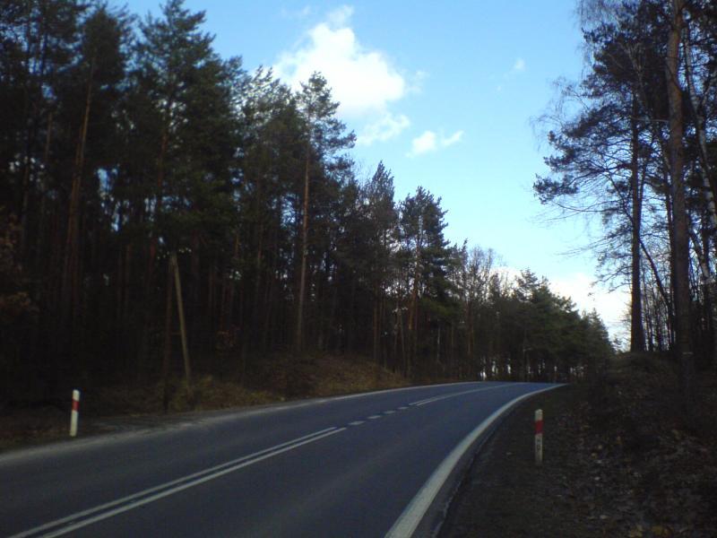 10385.jpg